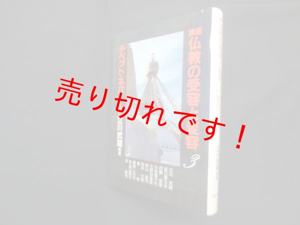 画像1: 講座仏教の受容と変容 3 チベット・ネパール編　立川武蔵編 (1)