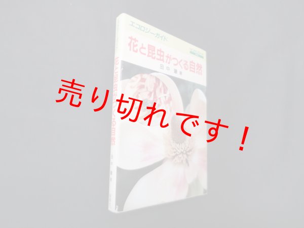画像1: 花と昆虫がつくる自然 (エコロジーガイド)　田中肇 (1)