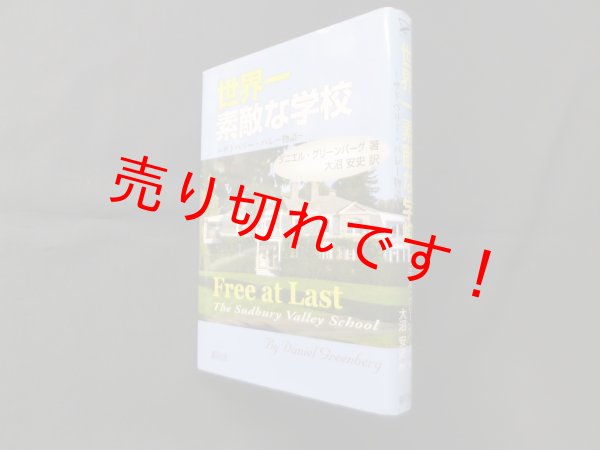 画像1: 世界一素敵な学校―サドベリー・バレー物語　ダニエル・グリーンバーグ/大沼安史 訳 (1)