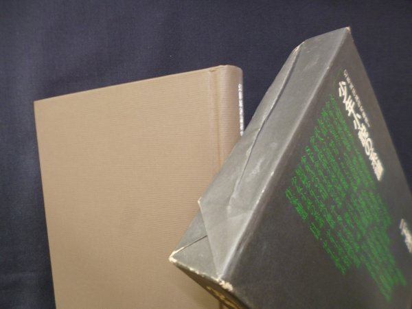 画像2: 少年小説の系譜 (幻影城評論研究叢書〈4〉)　二上洋一 (2)