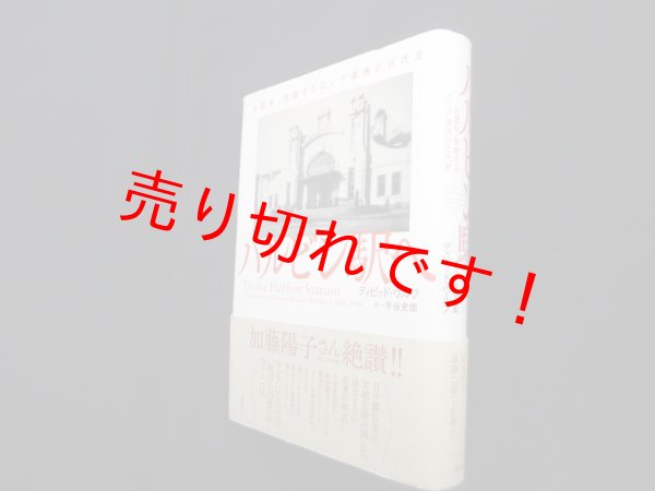 画像1: ハルビン駅へ―日露中・交錯するロシア満洲の近代史　ディビッド・ウルフ/半谷史郎 訳 (1)