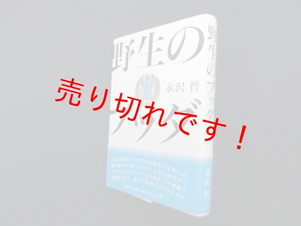 画像1: 野生のブッダ　永沢哲 (1)