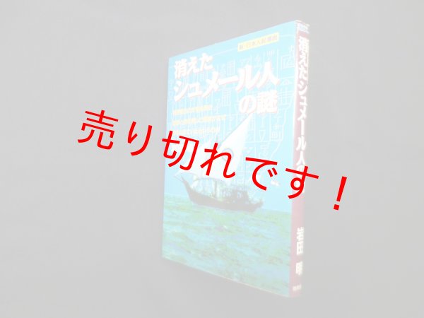 画像1: 消えたシュメール人の謎　新・日本人起源説　岩田明 (1)