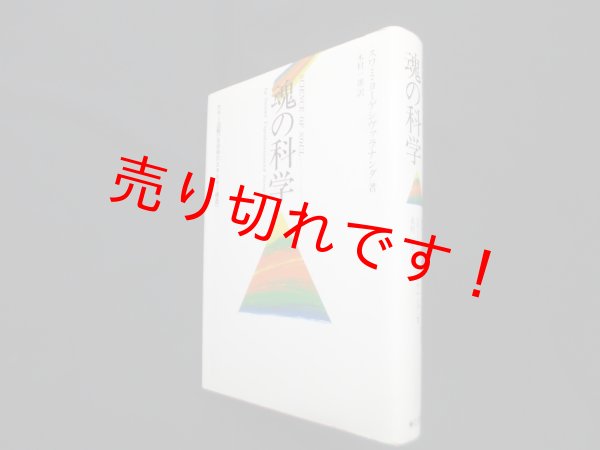 画像1: 魂の科学　カラー図解生命体のエネルギー構造　スワミ・ヨーゲシヴァラナンダ/木村慧心 訳 (1)