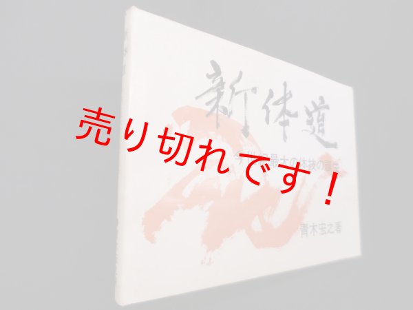 画像1: 新体道―今世紀最大の体技の誕生　青木宏之 (1)