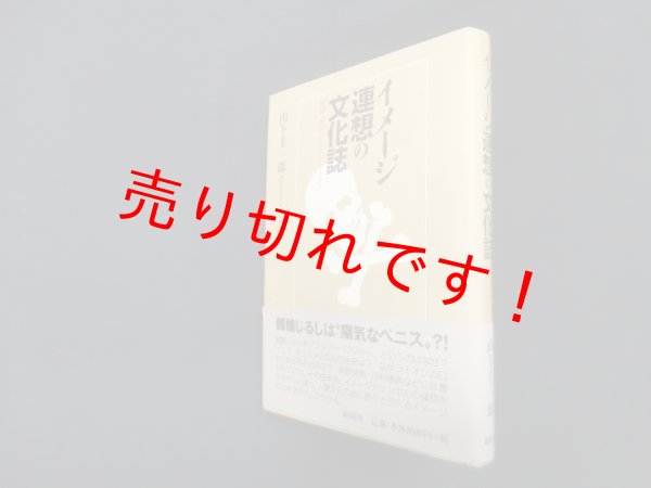 画像1: イメージ連想の文化誌―髑髏・男根・キリスト・ライオン　山下主一郎 (1)