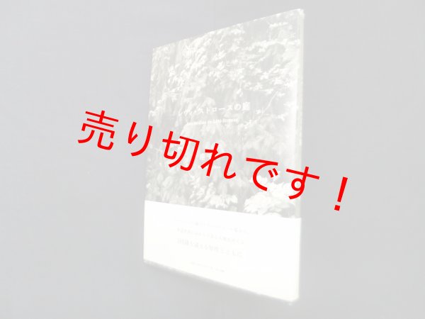 画像1: レヴィ=ストロースの庭　港千尋 (1)
