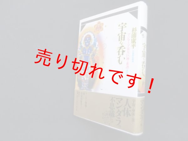 画像1: 宇宙を呑む―アジアの宇宙大巨神の系譜（万物照応劇場）　杉浦康平 (1)