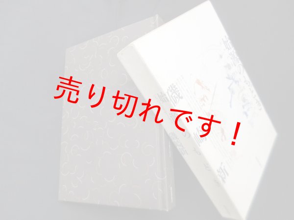 画像1: 始源のもどき―ジャパネスキゼーション　磯崎新 (1)