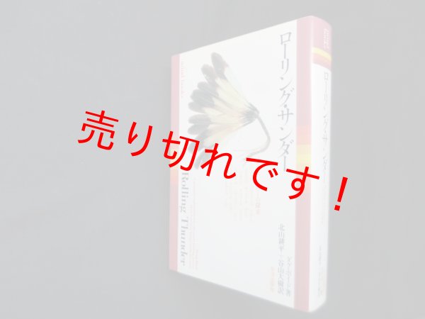 画像1: ローリング・サンダー―メディスン・パワーの探求　ダグ・ボイド/北山耕平 他訳 (1)