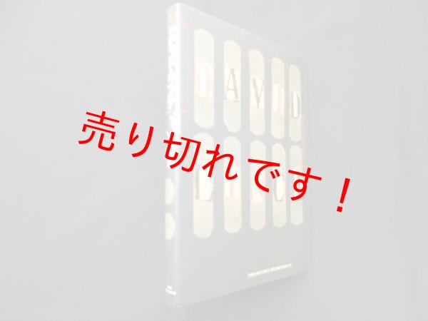 画像1: デビッド・リンチ―PAINTING&DRAWINGS　デビッド リンチ/東高現代美術館 編 (1)
