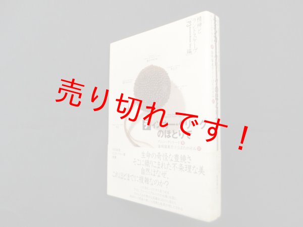 画像1: ティンカー・クリークのほとりで(シリーズ精神とランドスケープ)　アニー・ディラード金坂留美子 他訳 (1)