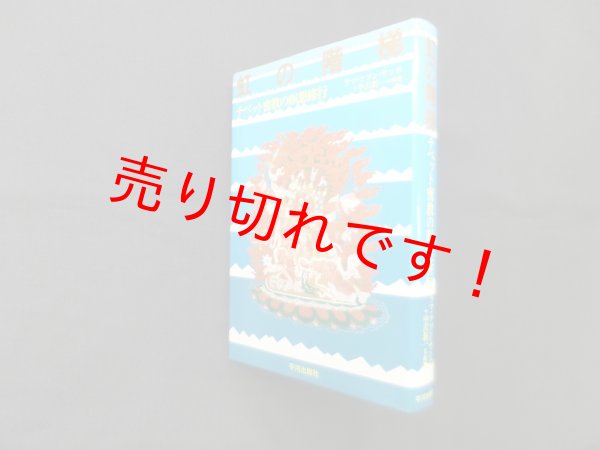 画像1: 虹の階梯―チベット密教の瞑想修行　ラマ・ケツン・サンポ/中沢新一 (1)
