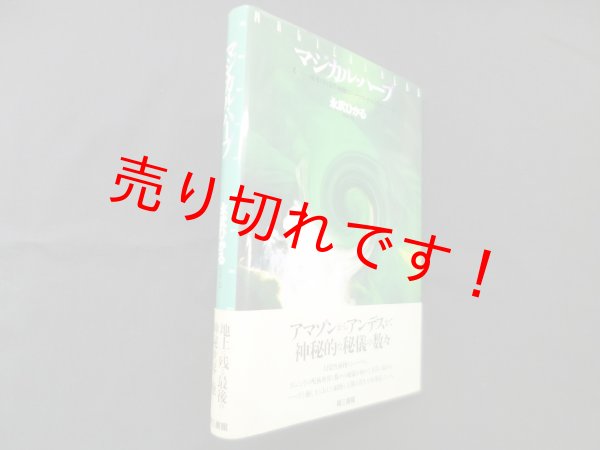 画像1: マジカル・ハーブ　南米の幻覚性植物とシャーマニック・ヒーラー　永武ひかる (1)
