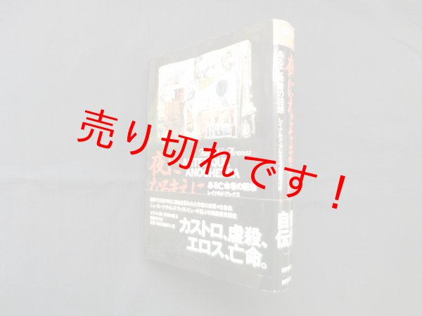 画像1: 夜になるまえに―ある亡命者の回想　レイナルド・アレナス/安藤哲行 訳 (1)