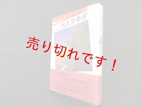 画像1: 沈黙の力―意識の処女地　カルロス・カスタネダ/真崎義博 訳 (1)