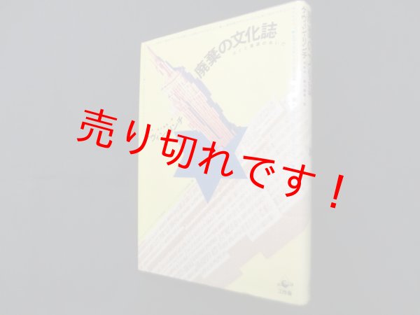 画像1: 廃棄の文化誌―ゴミと資源のあいだ　ケヴィン・リンチ/有岡孝 他訳 (1)