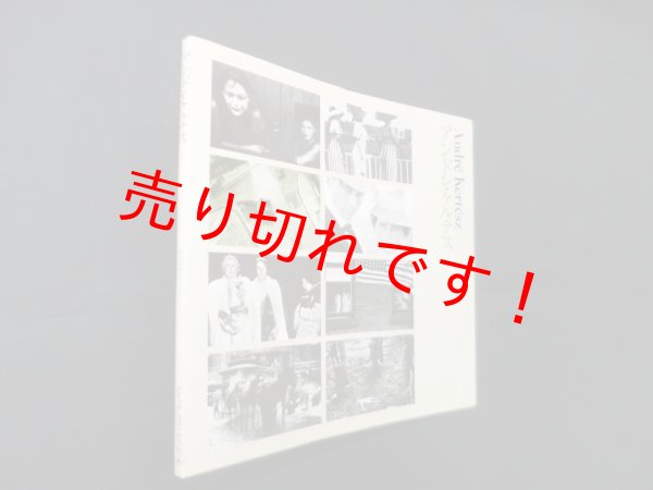 画像1: アンドレ・ケルテス（写真の歴史シリーズ）　アンドレ・ケルテス/日高敏 訳 (1)
