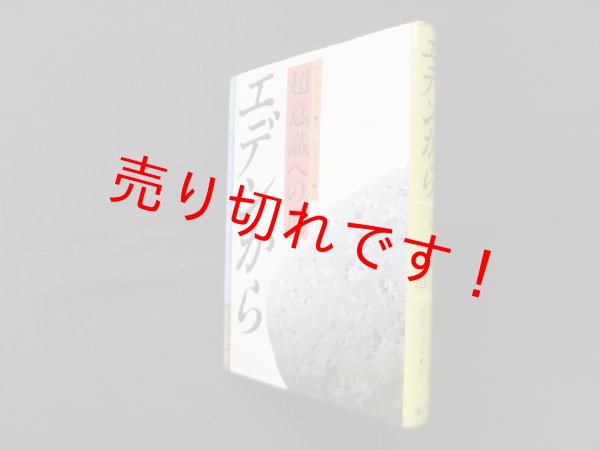 画像1: エデンから　超意識への道　ケン・ウィルバー/松尾弌之 訳 (1)