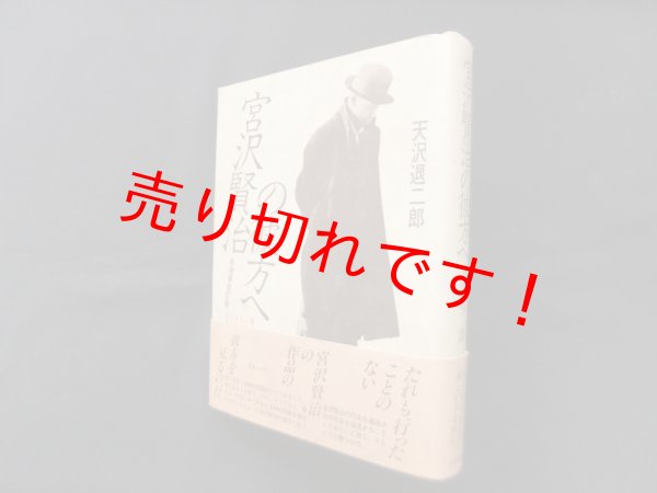 画像1: 宮沢賢治の彼方へ 新増補改訂版　天沢退二郎 (1)