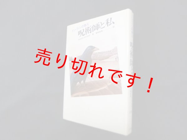 画像1: 呪術師と私―ドン・ファンの教え　カルロス・カスタネダ/真崎義博 訳 (1)