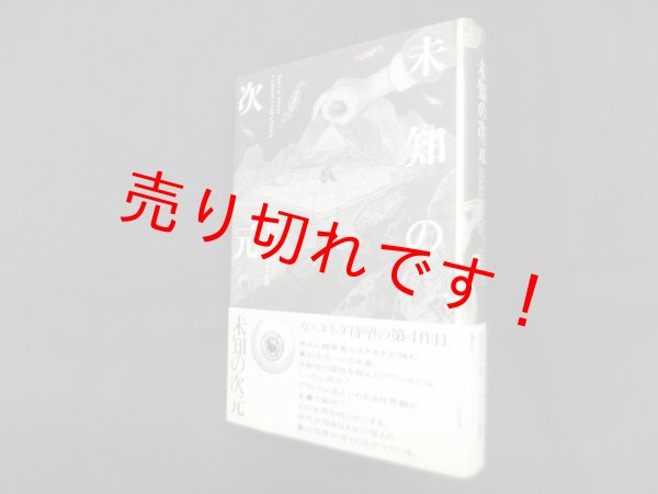 画像1: 未知の次元　カルロス・カスタネダ/名谷一郎 訳 (1)