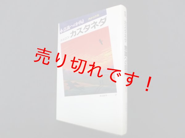 画像1: 意識への回帰―内からの炎　カルロス・カスタネダ/真崎義博 訳 (1)