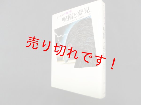 画像1: 呪術と夢見―イーグルの贈り物　カルロス・カスタネダ/真崎義博 訳 (1)