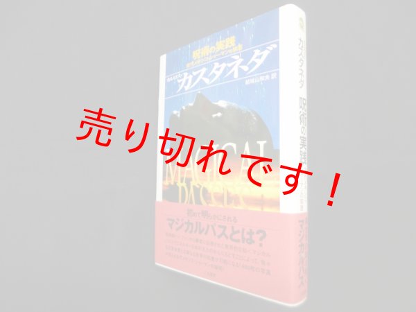 画像1: 呪術の実践―古代メキシコ・シャーマンの知恵　カルロス・カスタネダ/結城山和夫 訳 (1)