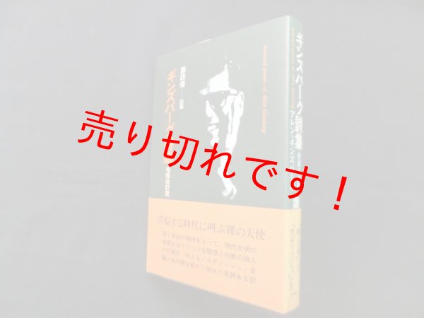 画像1: ギンズバーグ詩集 増補改訂版　諏訪優 訳/編 (1)