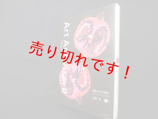 画像1: 撹乱分子@境界　アート・アクティヴィズム2　北原恵 (1)