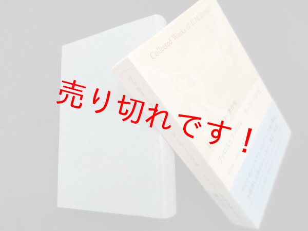 画像1: ファロスとファリロン／デーヴィーの丘 (E.M.フォースター著作集 7)　E.M.フォースター/池沢夏樹,中野康司 訳 (1)