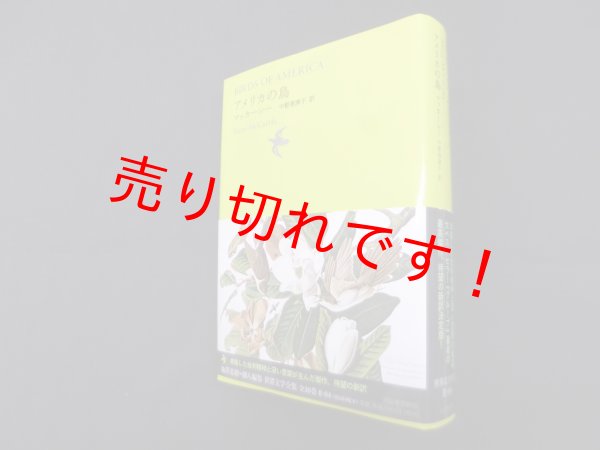 画像1: アメリカの鳥（池澤夏樹=個人編集 世界文学全集 2-04）　マッカーシー/中野恵津子 訳 (1)