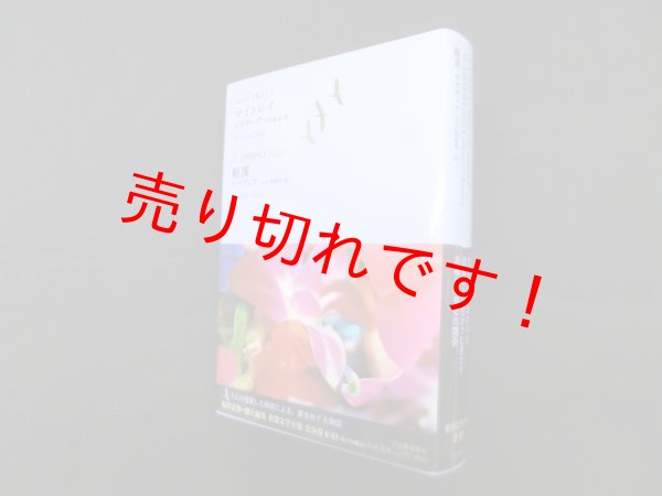 画像1: マイトレイ／軽蔑（池澤夏樹=個人編集 世界文学全集 2-03）　エリアーデ 他/住谷春也 他訳 (1)