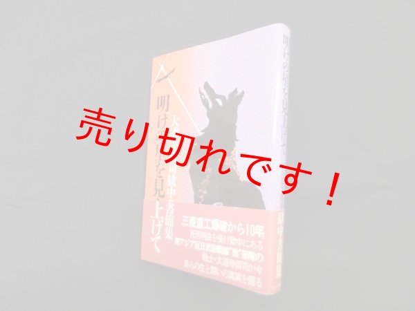 画像1: 明けの星を見上げて―大道寺将司獄中書簡集　大道寺将司 (1)