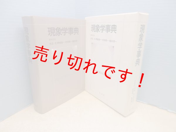 画像1: 現象学事典　木田元 他編 (1)