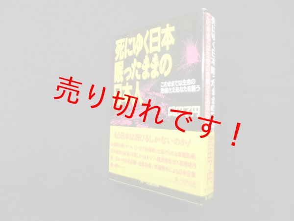 画像1: 死にゆく日本眠ったままの日本人―このままでは生命の危機さえあなたを襲う　武田了円 (1)
