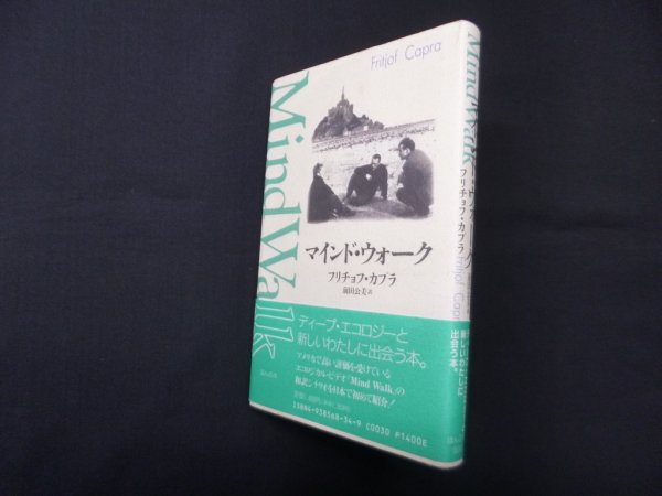 画像1: マインド・ウォーク　フリチョフ・カプラ/前田公美 訳 (1)