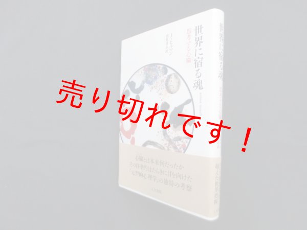 画像1: 世界に宿る魂―思考する心臓　J・ヒルマン/濱野清志 訳 (1)