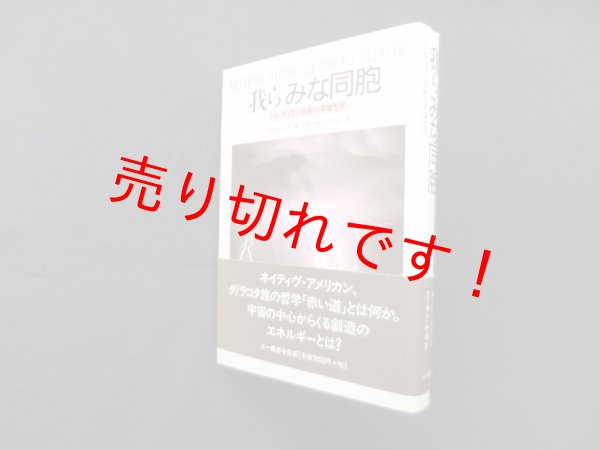 画像1: 我らみな同胞―インディアン宗教の深層世界　アレン・チャック・ロス/スーザン小山 訳 (1)