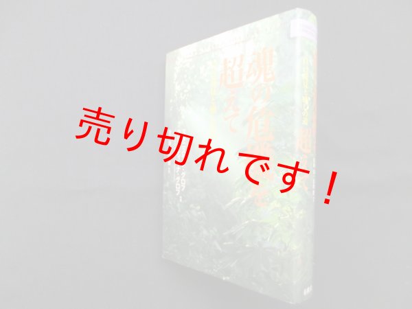 画像1: 魂の危機を超えて―自己発見と癒しの道　スタニスラフ グロフ 他経年並/安藤治 他訳 (1)