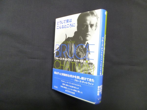 画像1: どうして僕はこんなところに　ブルース・チャトウィン/池央耿 他訳 (1)