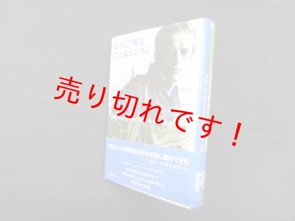 画像1: どうして僕はこんなところに　ブルース・チャトウィン/池央耿 他訳 (1)