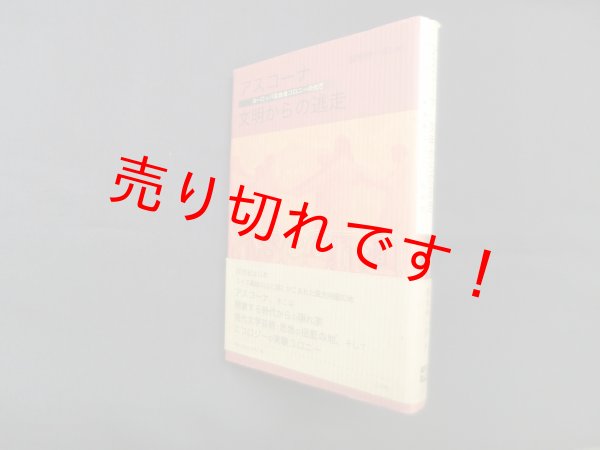 画像1: アスコーナ文明からの逃走―ヨーロッパ菜食者コロニーの光芒　関根伸一郎 (1)