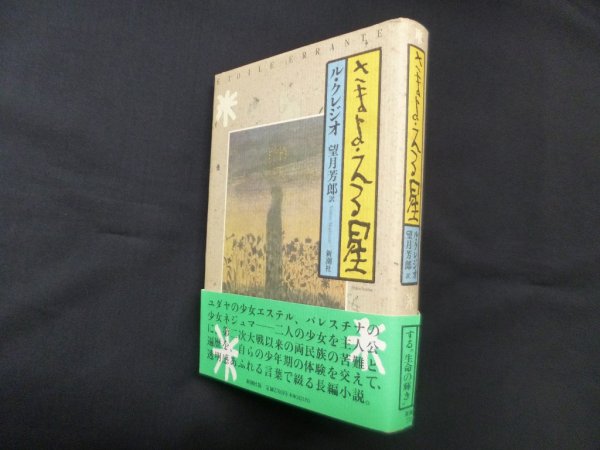 画像1: さまよえる星　ル・クレジオ/望月芳郎 訳 (1)