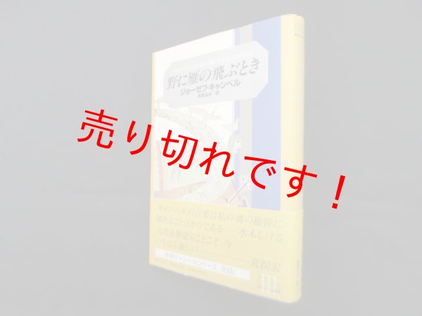 画像1: 野に雁の飛ぶとき（キャンベル選集 3）　ジョーゼフ・キャンベル/武舎るみ 訳 (1)
