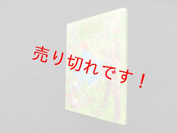 画像1: 赤毛のアンの手作り絵本 2 青春編　鎌倉書房書籍編集部 編 (1)