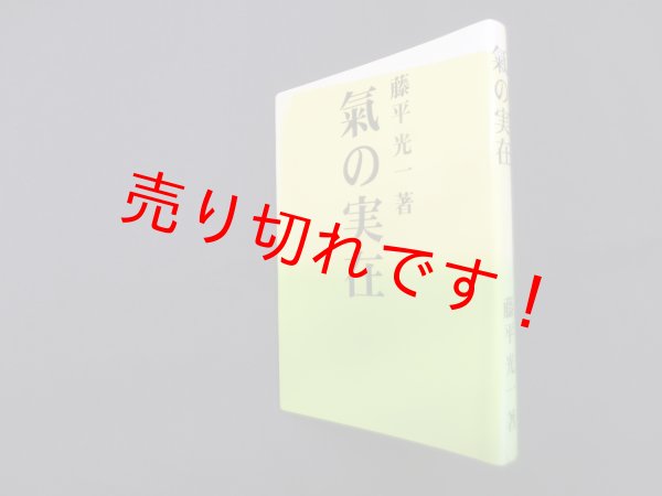 画像1: 氣の実在　藤平光一 (1)