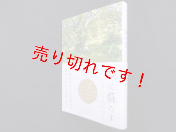 画像1: 森に暮らす (1)