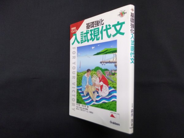 画像1: 基礎強化入試現代文　森永茂 (1)